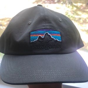 Patagonia Logo Hat